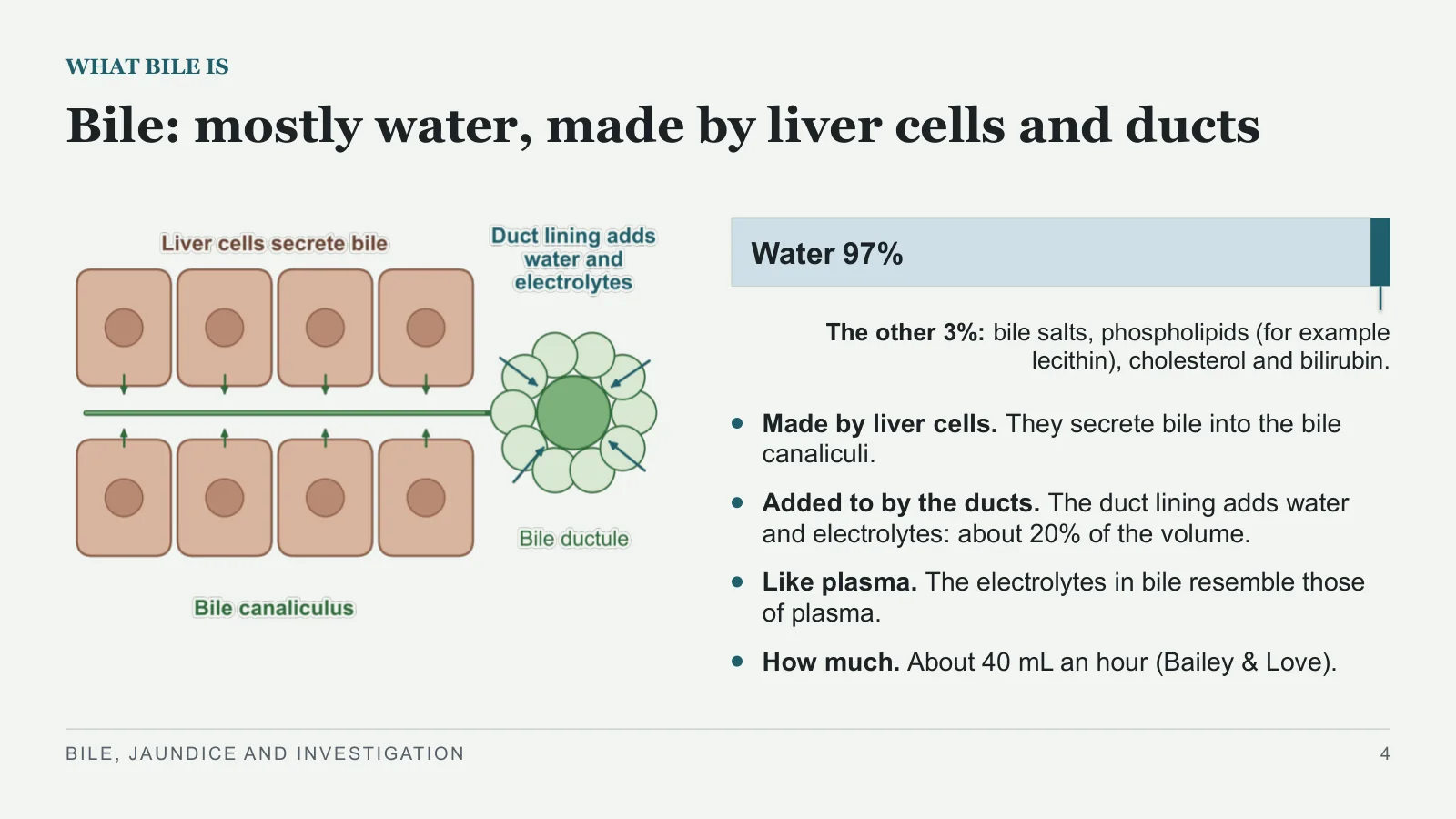 Slide 4: Bile: mostly water, made by liver cells and ducts