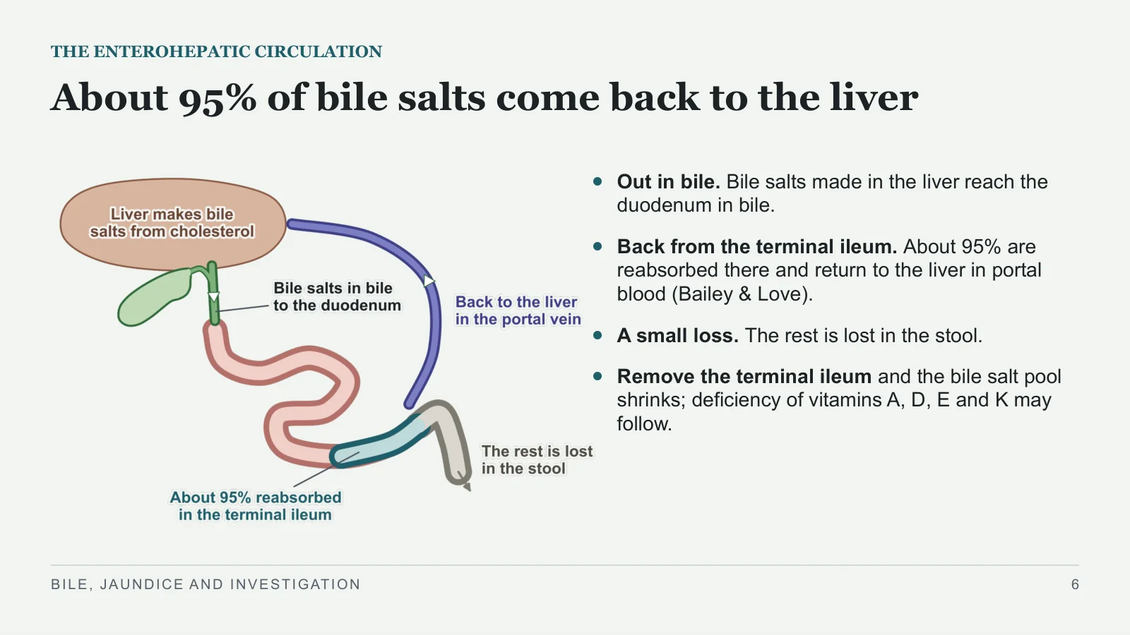 Slide 6: About 95% of bile salts come back to the liver