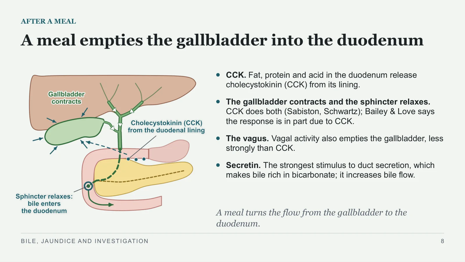 Slide 8: A meal empties the gallbladder into the duodenum