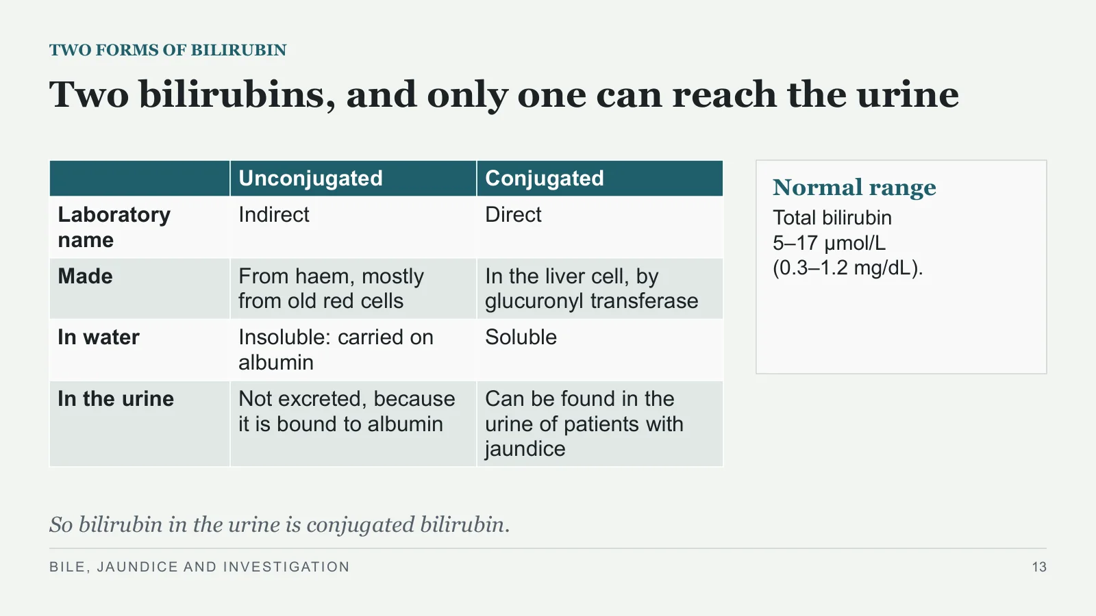 Slide 13: Two bilirubins, and only one can reach the urine