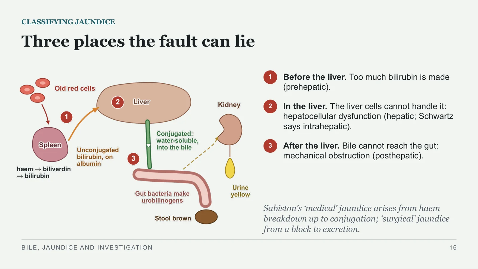 Slide 16: Three places the fault can lie