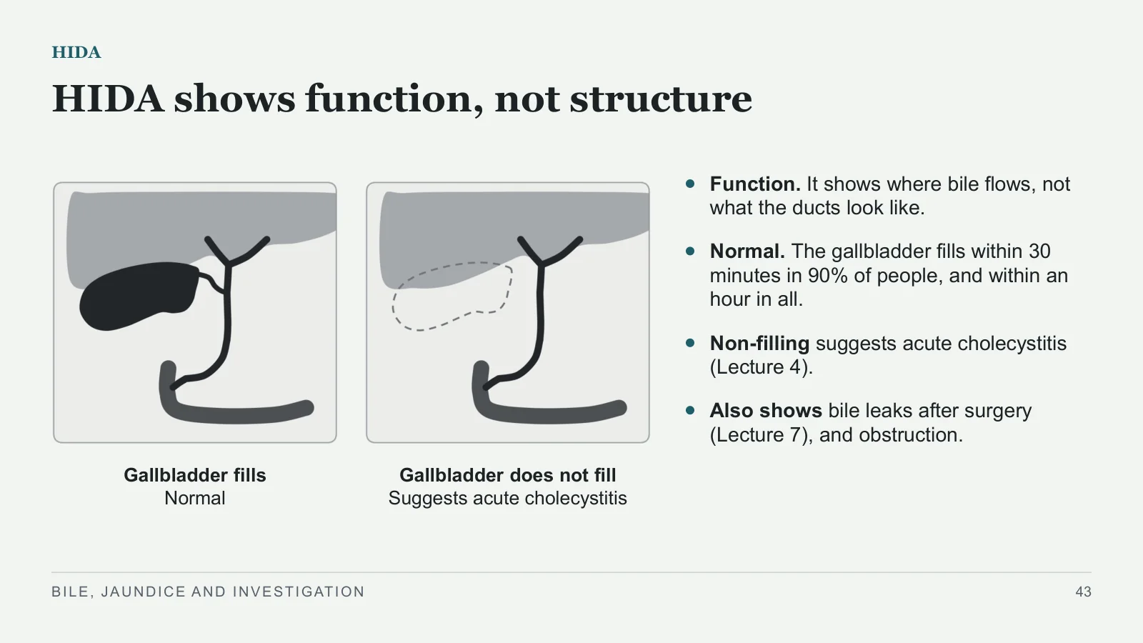 Slide 43: HIDA shows function, not structure