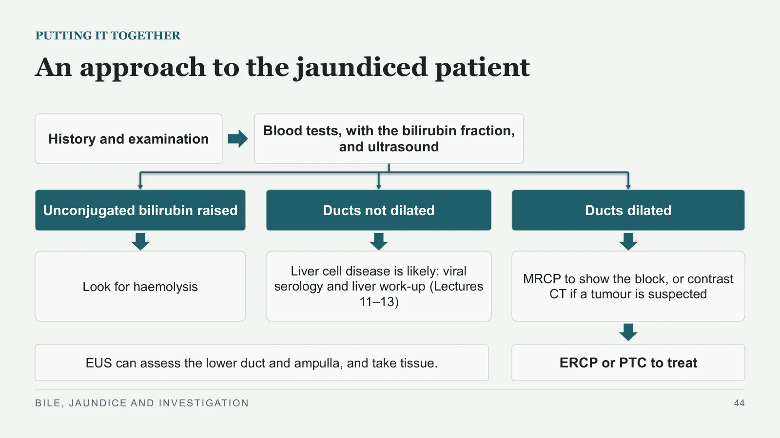 Slide 44: An approach to the jaundiced patient