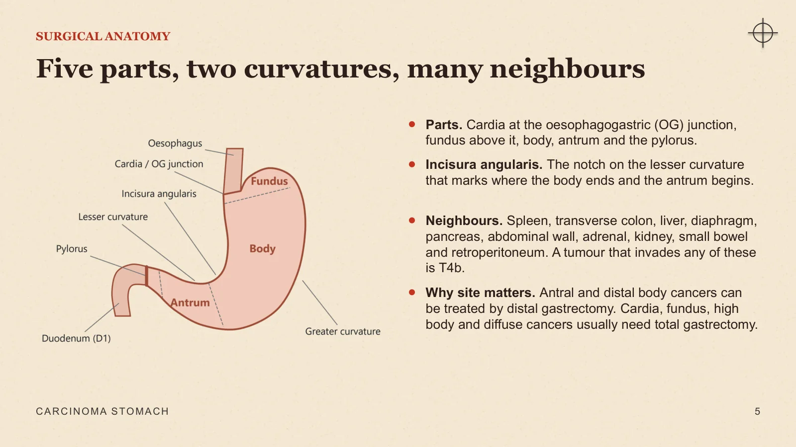 Slide 5: Five parts, two curvatures, many neighbours