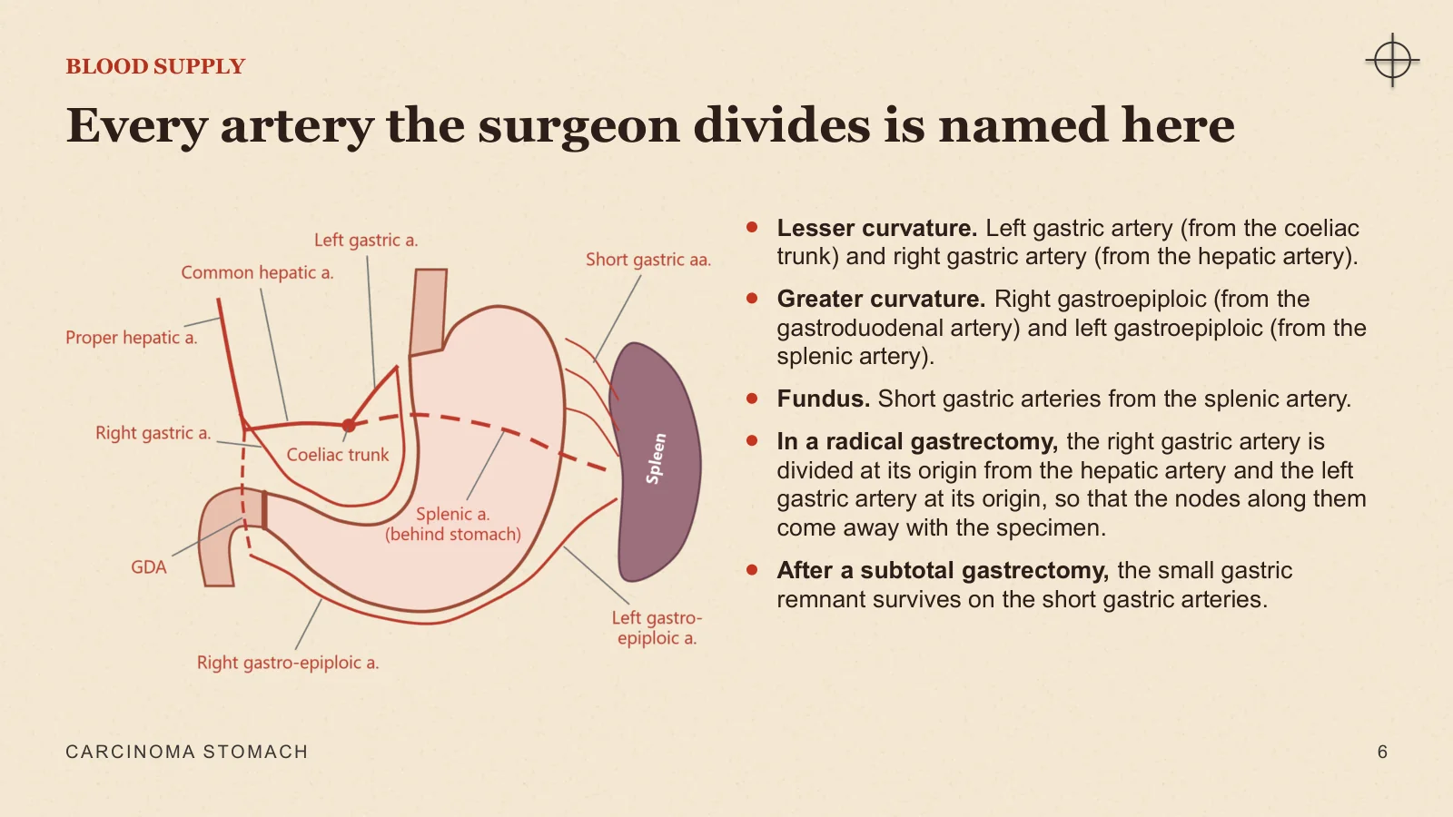 Slide 6: Every artery the surgeon divides is named here