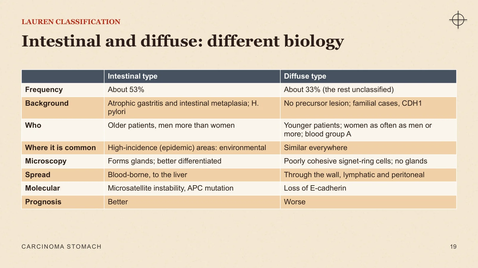 Slide 19: Intestinal and diffuse: different biology