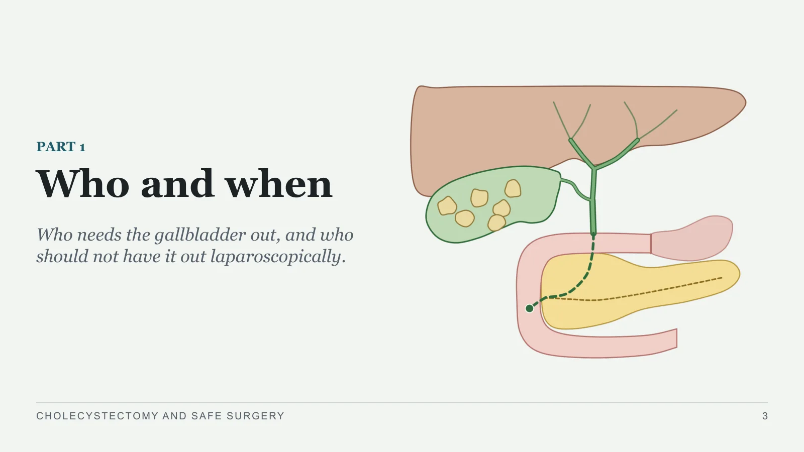 Slide 3: Who and when