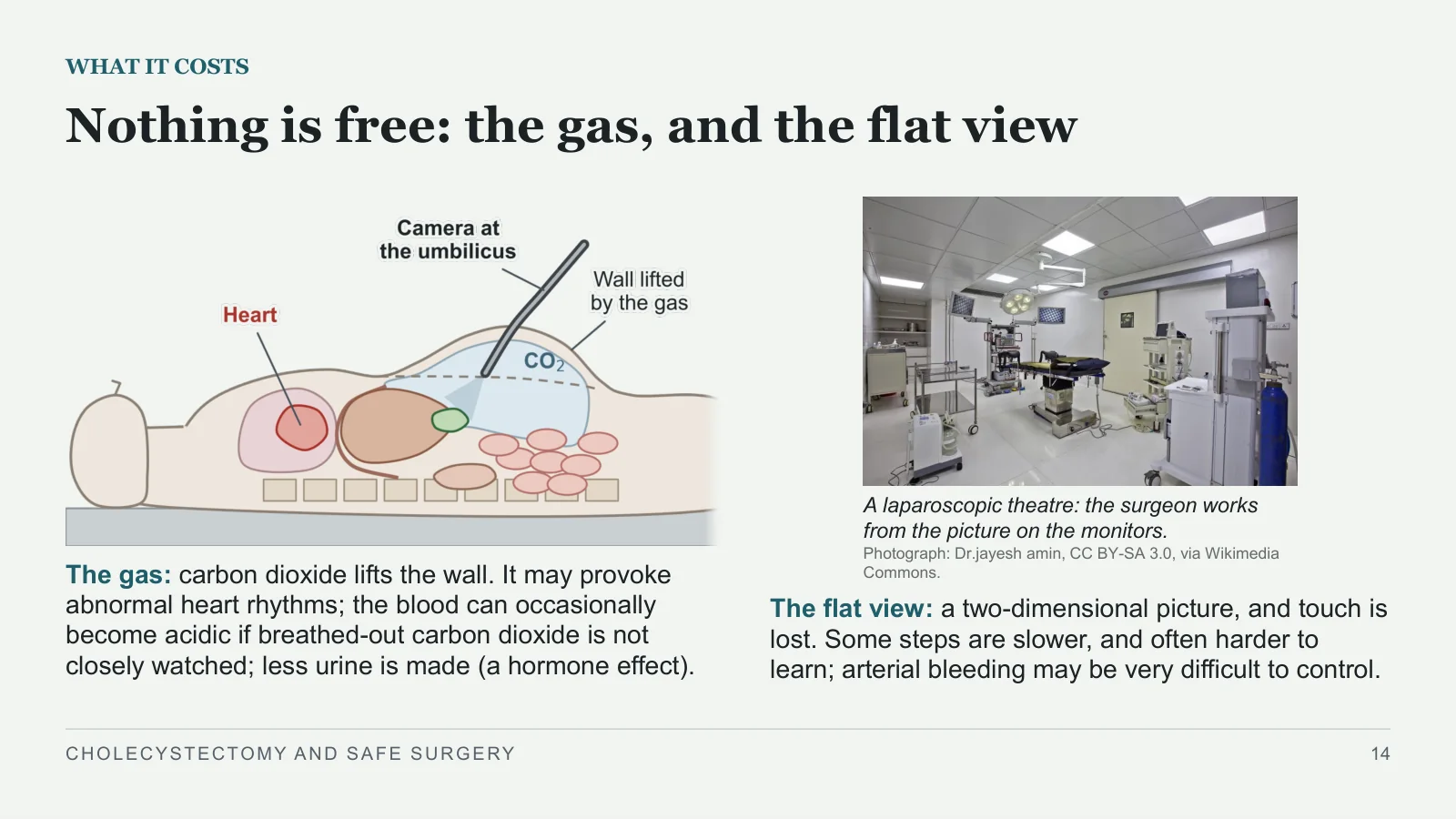 Slide 14: Nothing is free: the gas, and the flat view