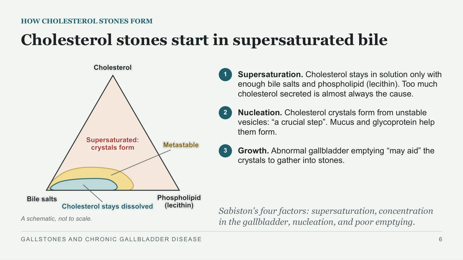 Slide 6: Cholesterol stones start in supersaturated bile