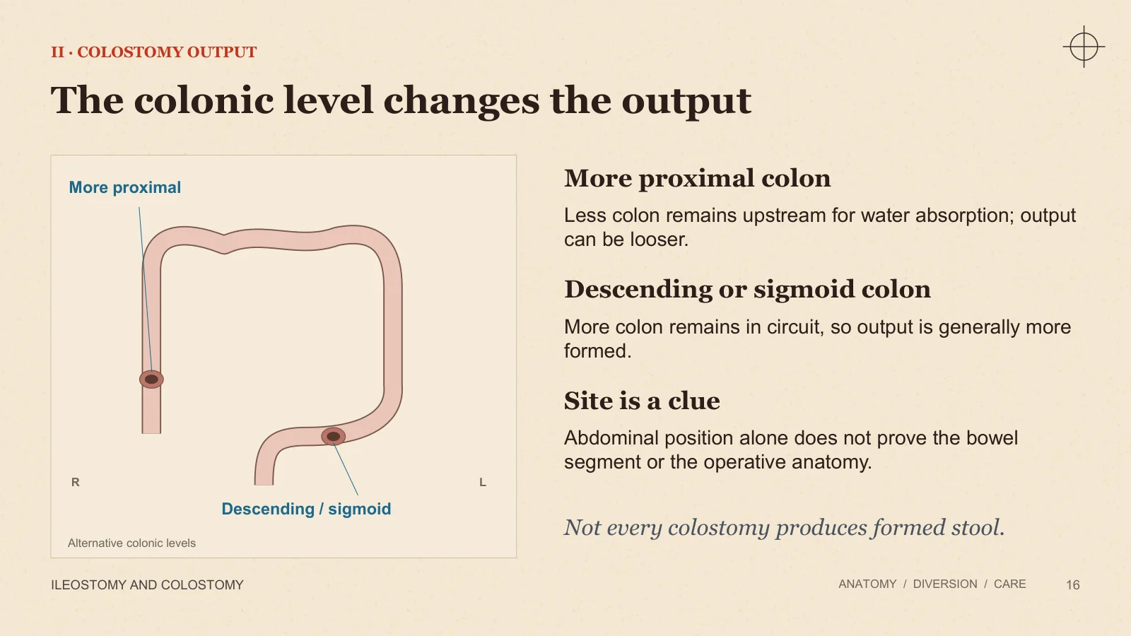 Slide 16: The colonic level changes the output
