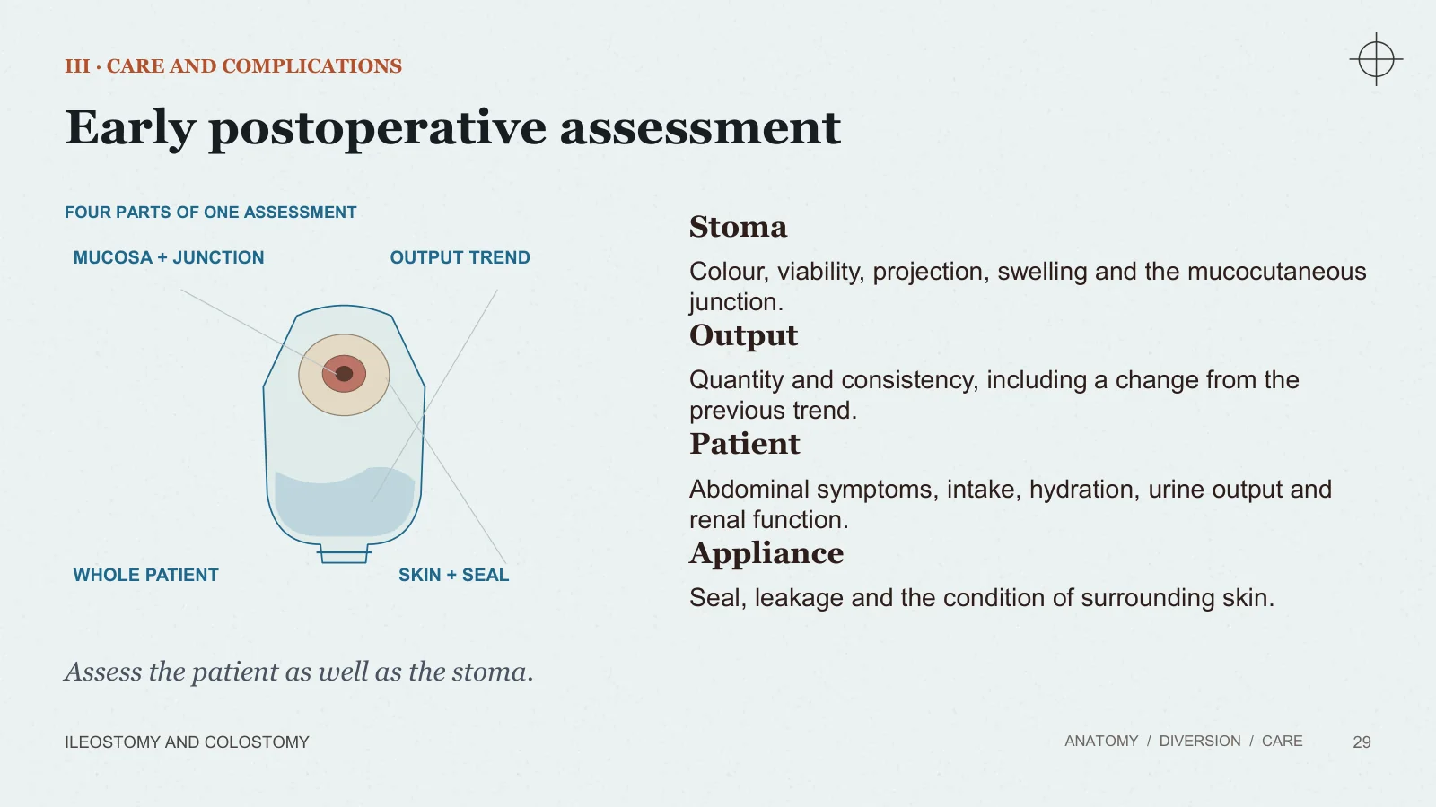 Slide 29: Early postoperative assessment