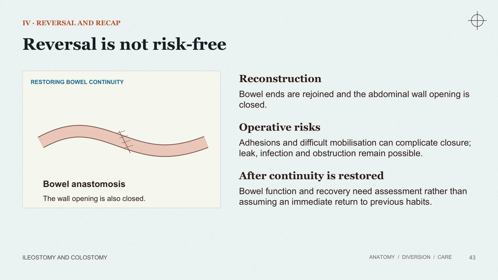 Slide 43: Reversal is not risk-free
