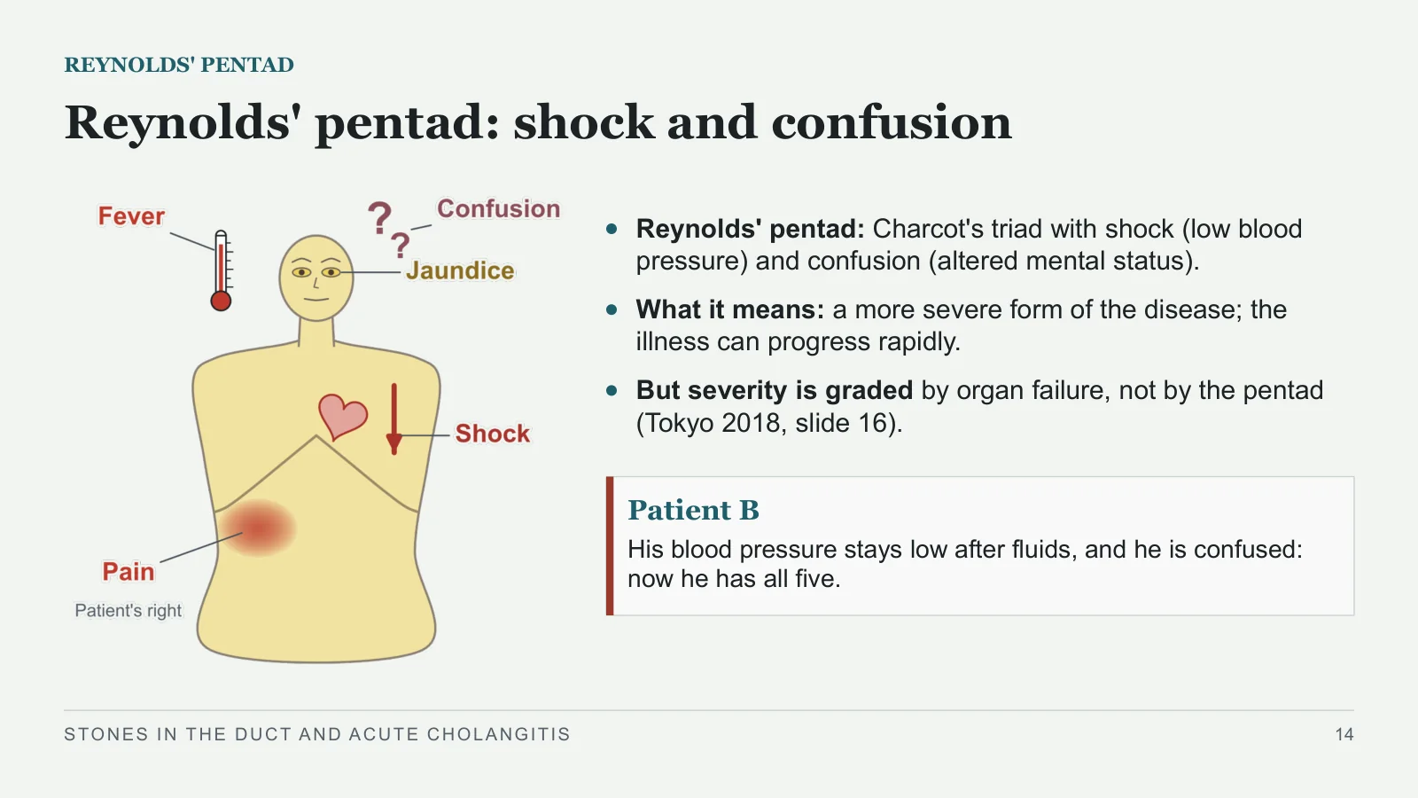 Slide 14: Reynolds' pentad: shock and confusion