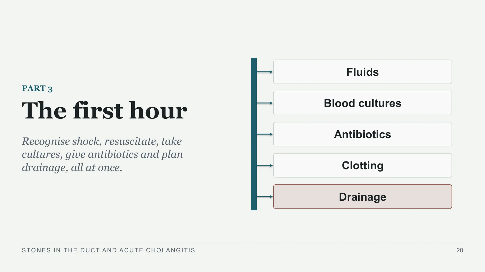 Slide 20: The first hour
