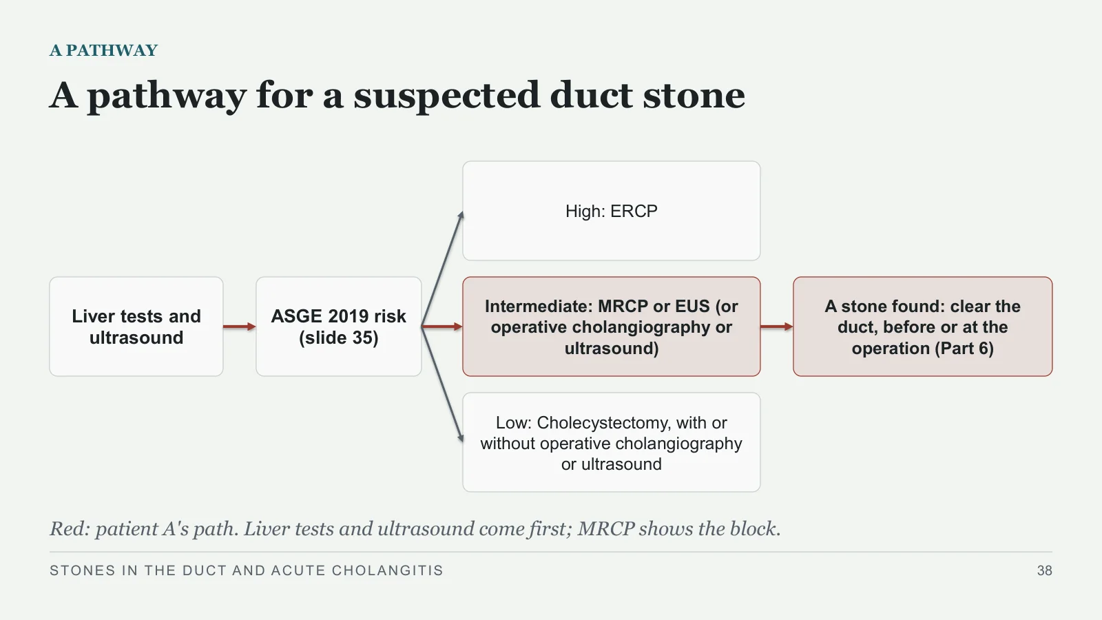 Slide 38: A pathway for a suspected duct stone