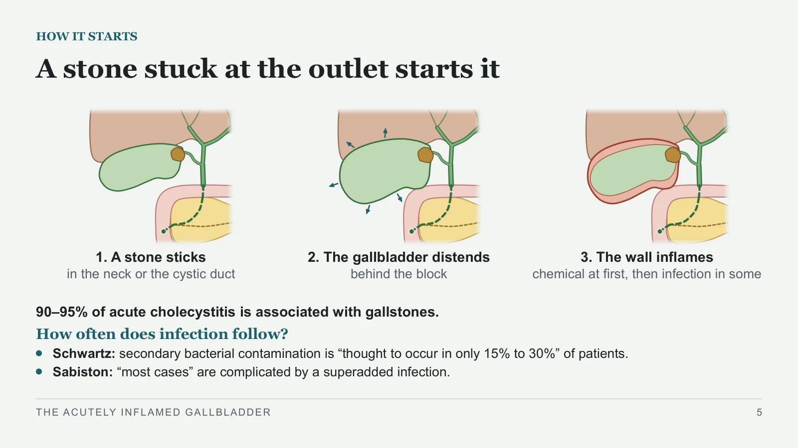 Slide 5: A stone stuck at the outlet starts it