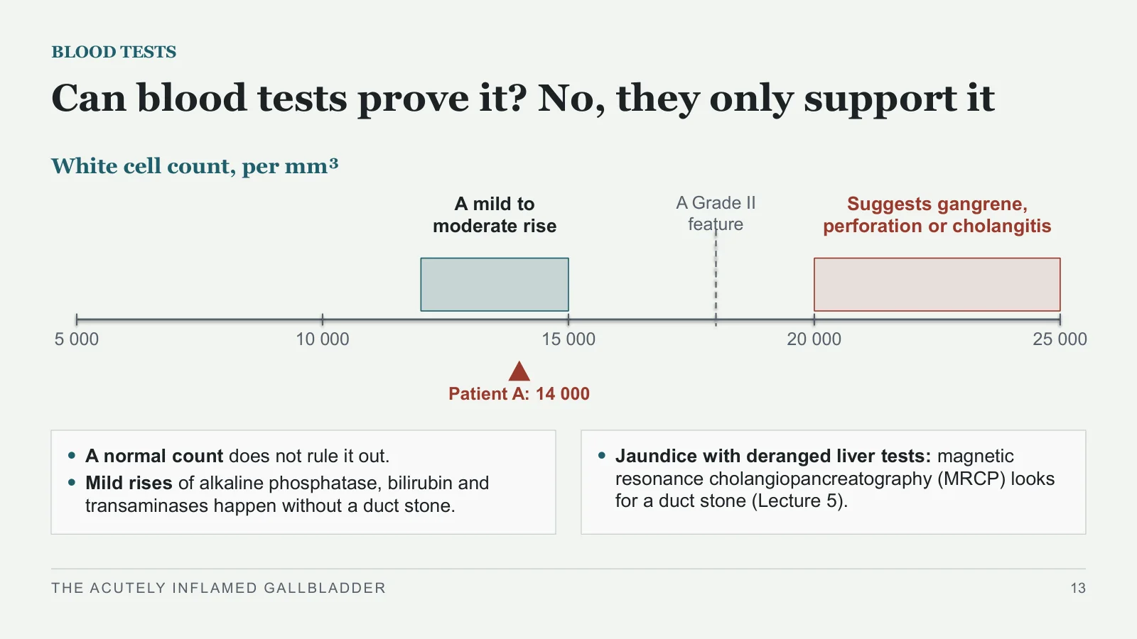 Slide 13: Can blood tests prove it? No, they only support it