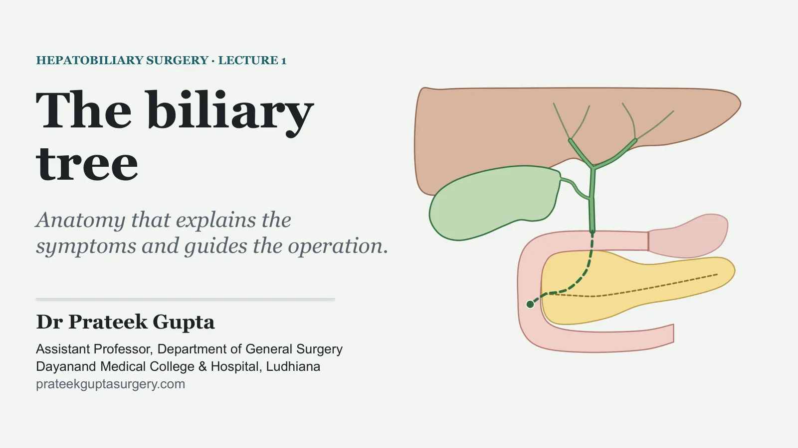 Slide 1: The biliary tree