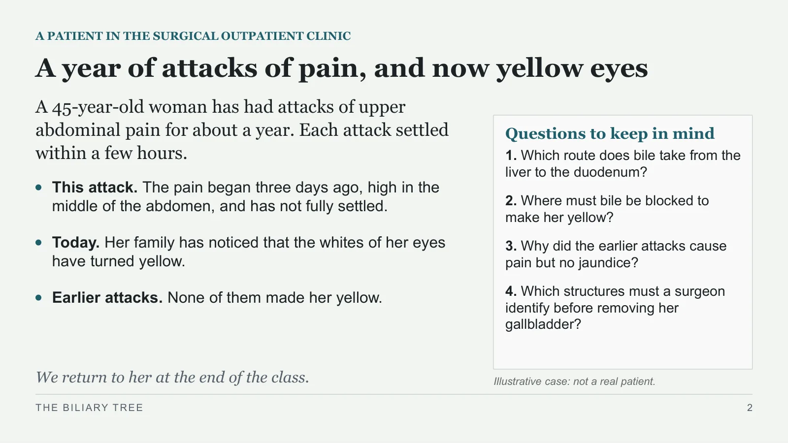 Slide 2: A year of attacks of pain, and now yellow eyes